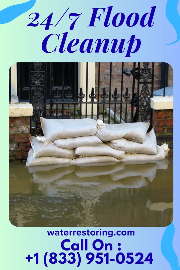 24/7 Flood Cleanup in Owosso, MI