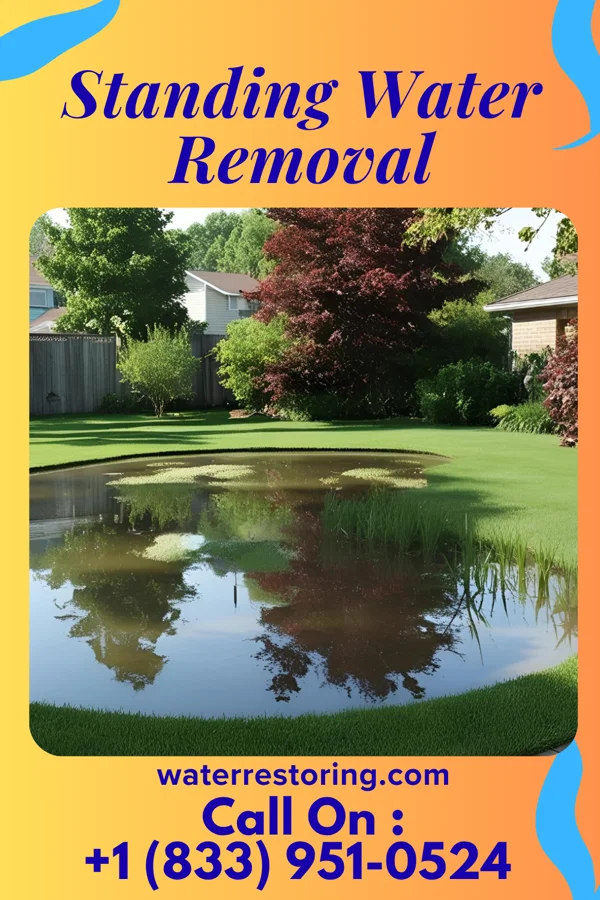 Standing Water Removal in Owosso, MI